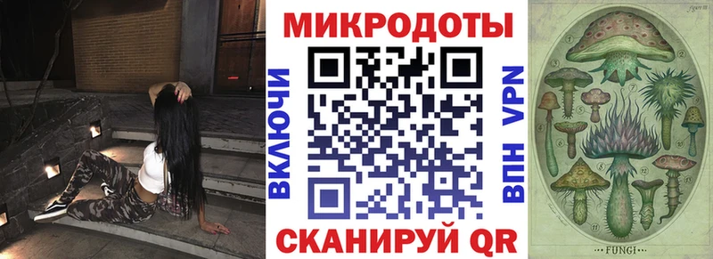 купить наркоту  это телеграм  Галлюциногенные грибы Psilocybine cubensis  Тында 